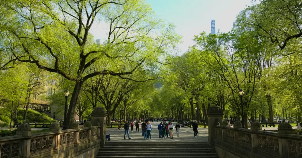 Dallas Is Getting A $600 Million Urban Park That’s More Than 11 Times As large As Central Park