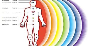 People Can Draw Energy From Other People The Same Way Plants Do