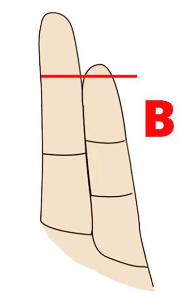 finger length personality tipe B