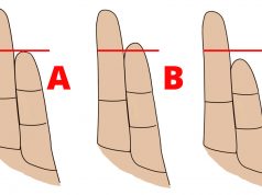 finger length personality