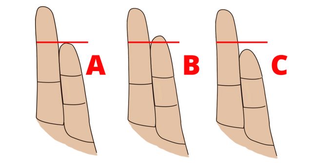 finger length personality