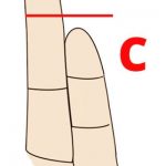 what does finger length say about your personality