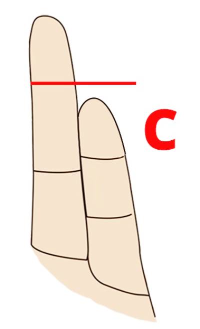 Finger Length Meaning - What Does Your Fingers' Length Say About