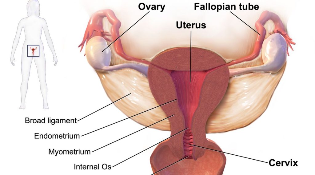 5 Things to Know Before Getting IVF