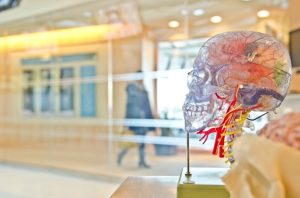 Alzheimer’s Disease Treatment: A Look at the Symptoms and an Alternative Approach