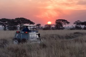 All You Need to Know Before Going on Safari in Africa