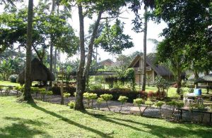 The Ultimate Staycation: How to Create a Relaxing Backyard Oasis