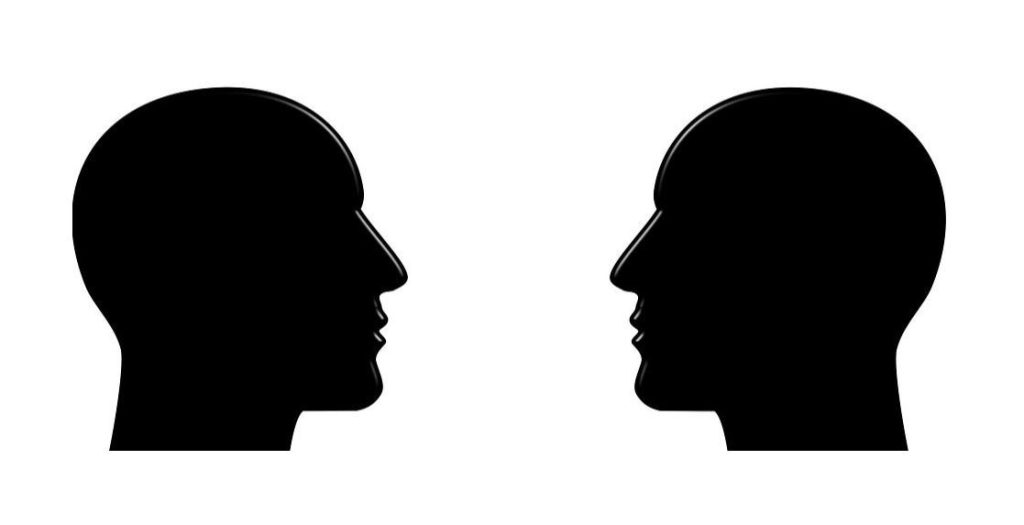 Understanding the Rashomon Effect