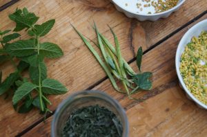 Most popular complementary and alternative medicine methods: What? Why? Where?