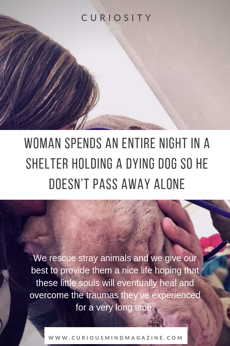 Woman Spends An Entire Night In A Shelter Holding A Dying Dog So He Doesn\'t Pass Away Alone