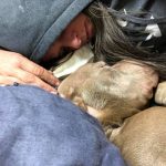 Woman Spends An Entire Night In A Shelter Holding A Dying Dog So He Doesn’t Pass Away Alone