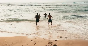 Summer Health Survival Guide