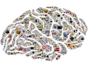 7 Tricks to Keep Your Brains Young and Functional