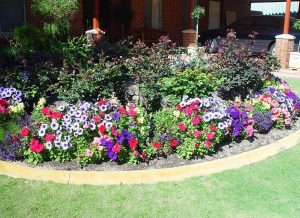 Flower garden ideas for beginners