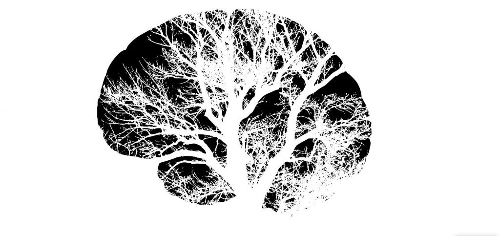 Tips for Students to be Successful