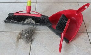 How to Choose the Right Broom for the Job