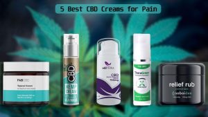 5 Best CBD Creams for Pain: How to Use Them and Benefits