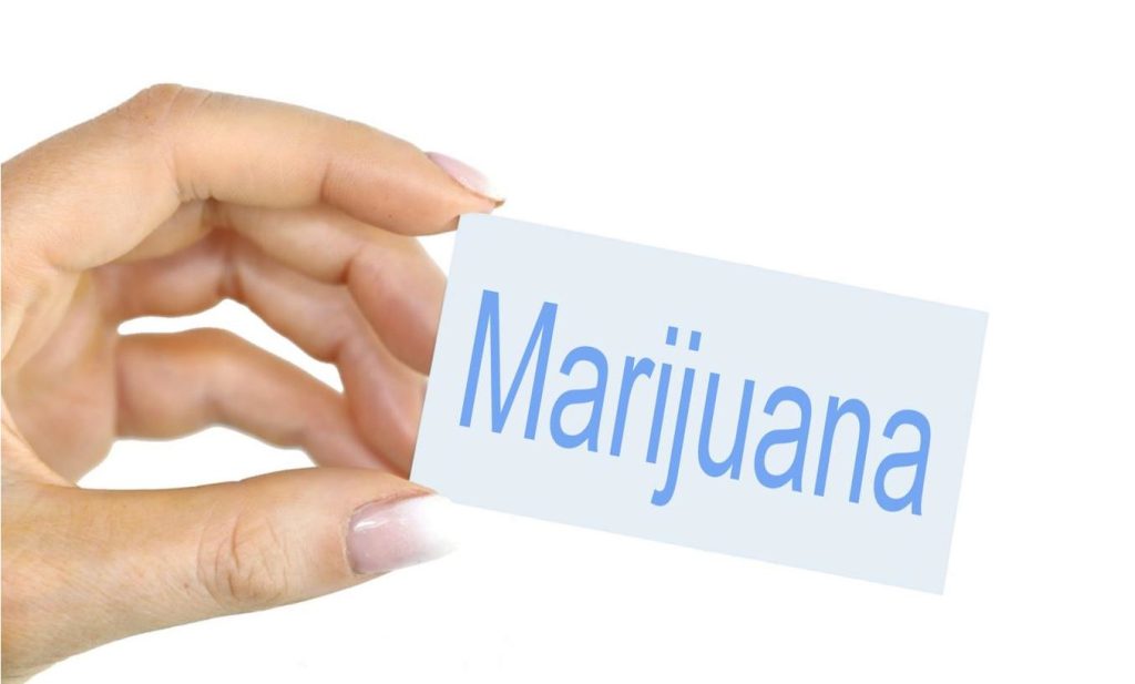 Life with a Medical Marijuana Card