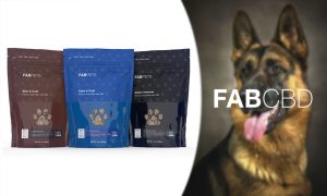 Best CBD Dog Treats: Our Top Picks