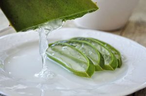 Effective Qualities of Aloe Vera in Skin Tightening