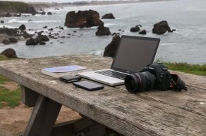 How to Manage and Store Your Vacation Photos: A Useful Guide