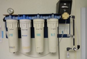 Reasons Why You Should Start Using A Reverse Osmosis Water Filter From Today