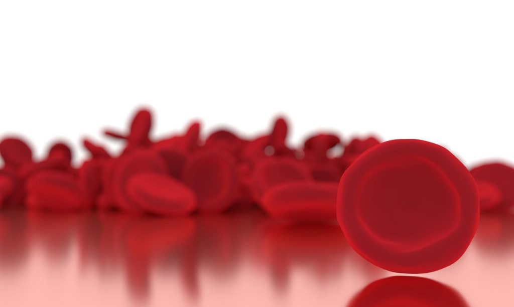 How to increase your iron level and why it is important Blood in the Body