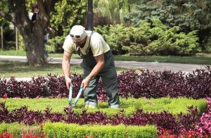 Can gardening reduce stress?