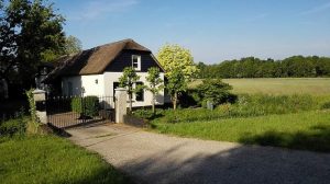 The Most Important Decisions You Need to Make When Automating Your Home