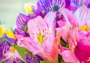 Why You Should Buy From Local Florists