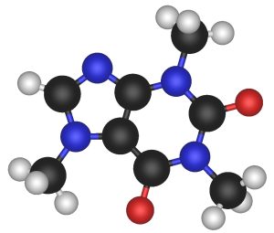 Primary Distinction Between Molecules And Atoms