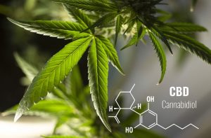 How Using CBD Can Help You Focus