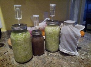 Reasons Why Fermenting Your Food Is a Great Idea