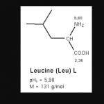 Benefits of Leucine