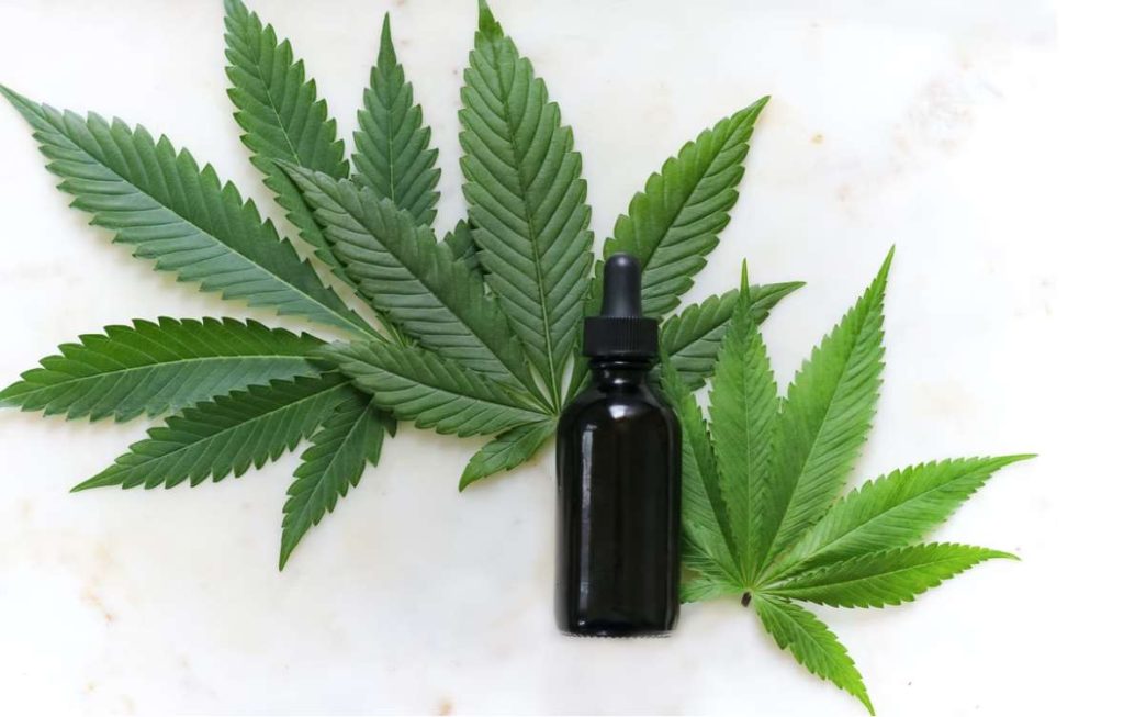 Can You Travel With A Big Bag Of Bulk Weed?