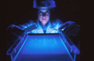 Everything You Need to Know About A Career in Medical Diagnostics