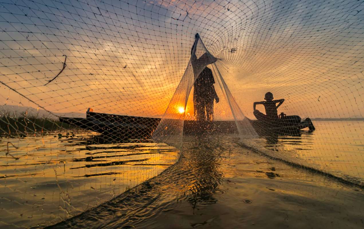 Fishing net - Curious Mind Magazine