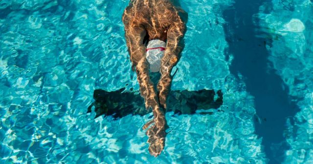 Swimming health benefits