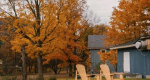 Autumn in garden