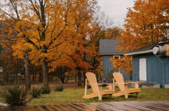 Autumn in garden