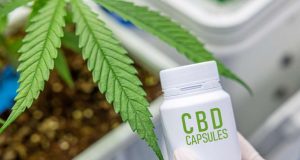 CBD Capsules