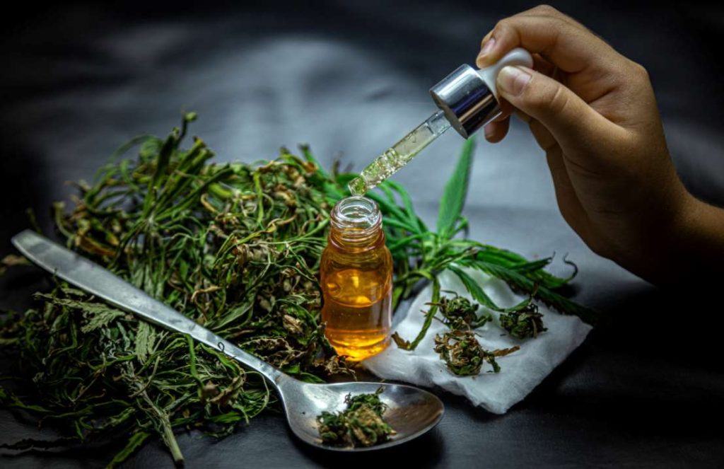 Why Are CBD Products Getting Popular WorldWide?