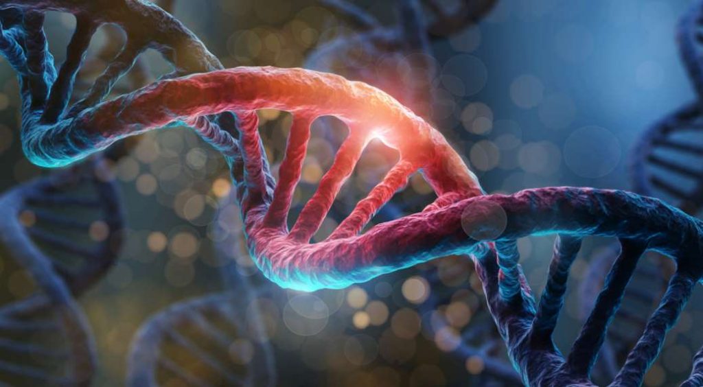 What Is Epigenetics and How Does It Impact Your Health?