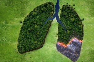 Exploring the 2018 Winners of Yuri Milner’s Breakthrough Prize