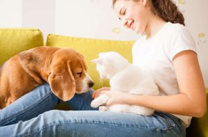 Taking Better Care of Your Pets With New York Vet Clinic
