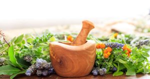 Most Popular Herbal Medicines In The World