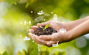 Discover What You Should Know About Corporate Sustainability