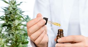 CBD oil