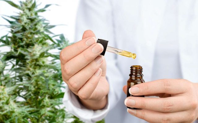 CBD oil