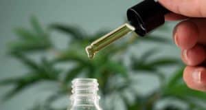 CBD Oil